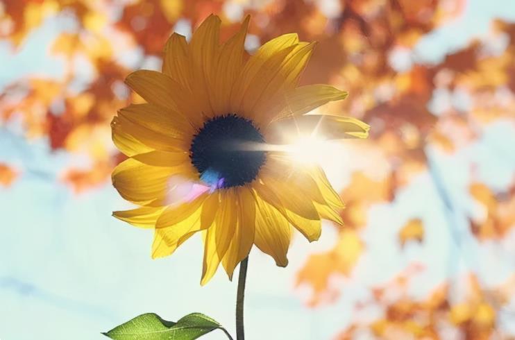 身边有这三种人该翻脸就果断翻脸,碰到心肠歹毒的人怎么说