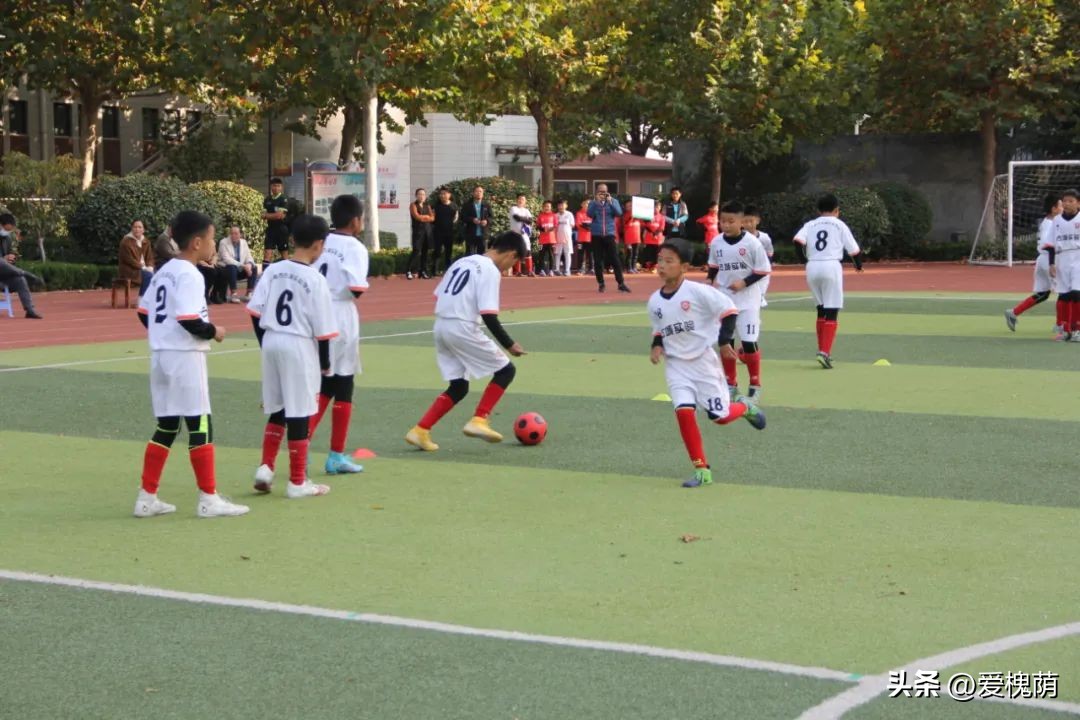 体彩杯足球赛小学,2024年历城区小学生足球比赛