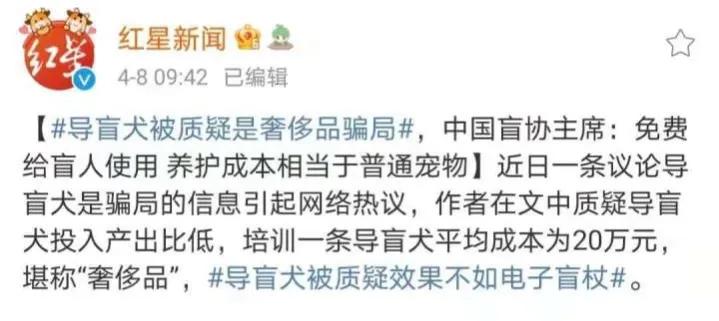 用了上百年的导盲犬，被网友们喷成了一场*局骗**，且不如电子盲杖？