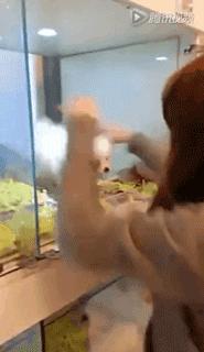 逛宠物店被宠物赖上后续,逛宠物店被狗子太活泼被买走