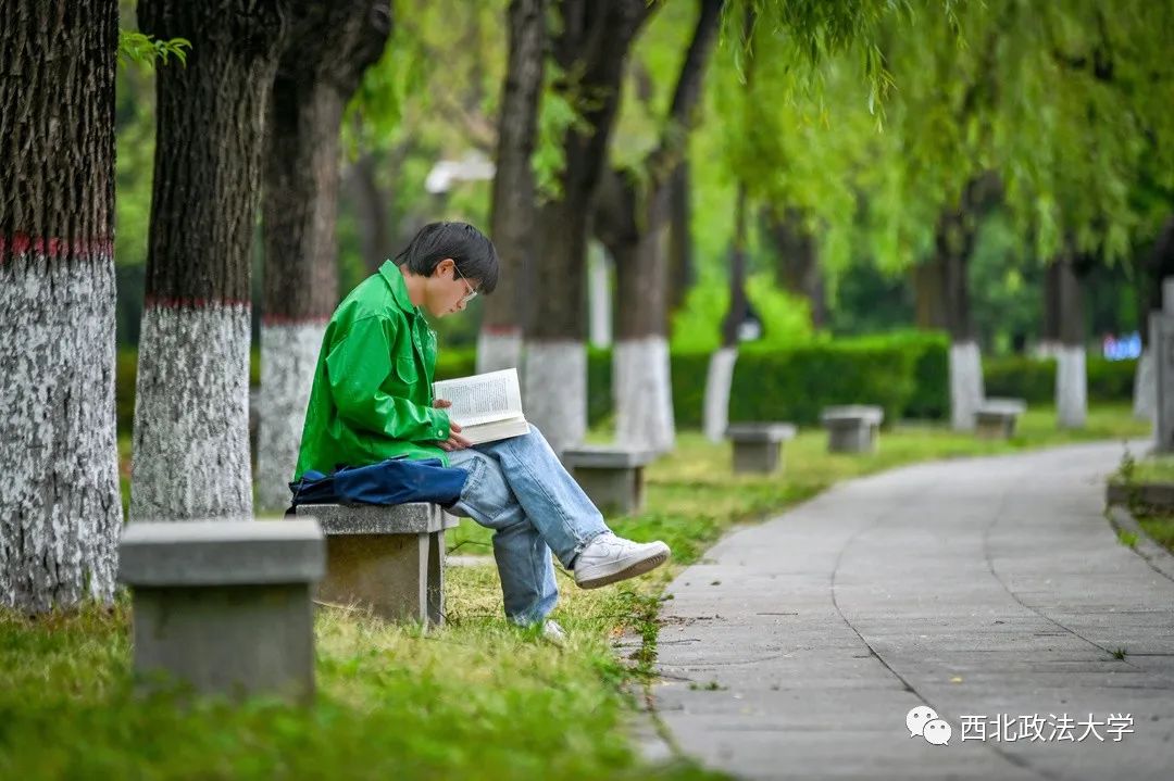 西法大到底是什么,西法大是什么意思网络用语