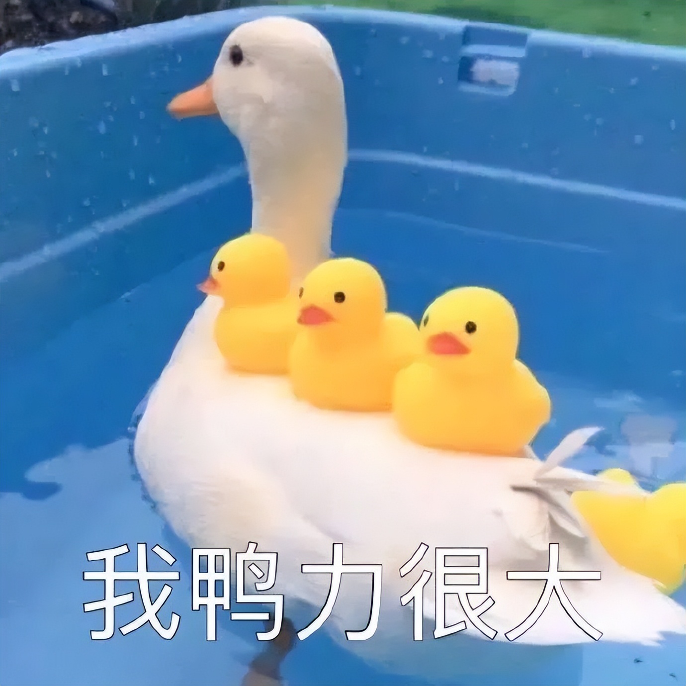 健身最离谱的请假理由,为了请假编造过的谎言