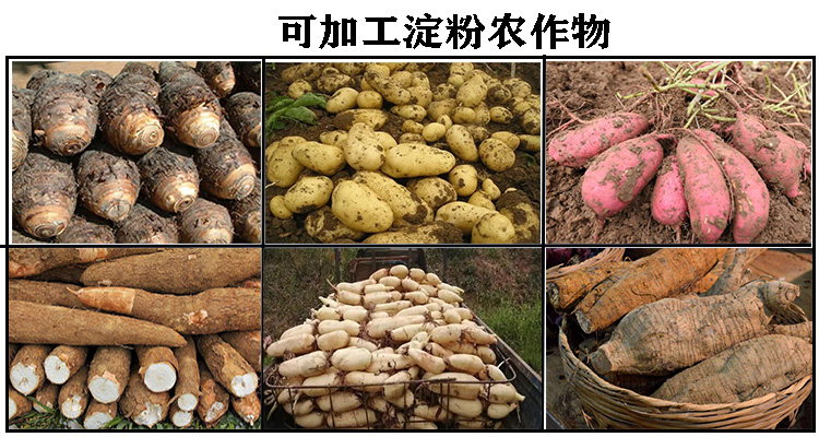 淀粉加工厂创业项目方案,红薯淀粉加工厂可行性报告