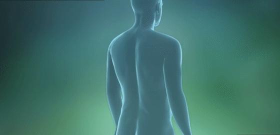 国际公认的腰突康复训练动作,腰突治愈后的分享