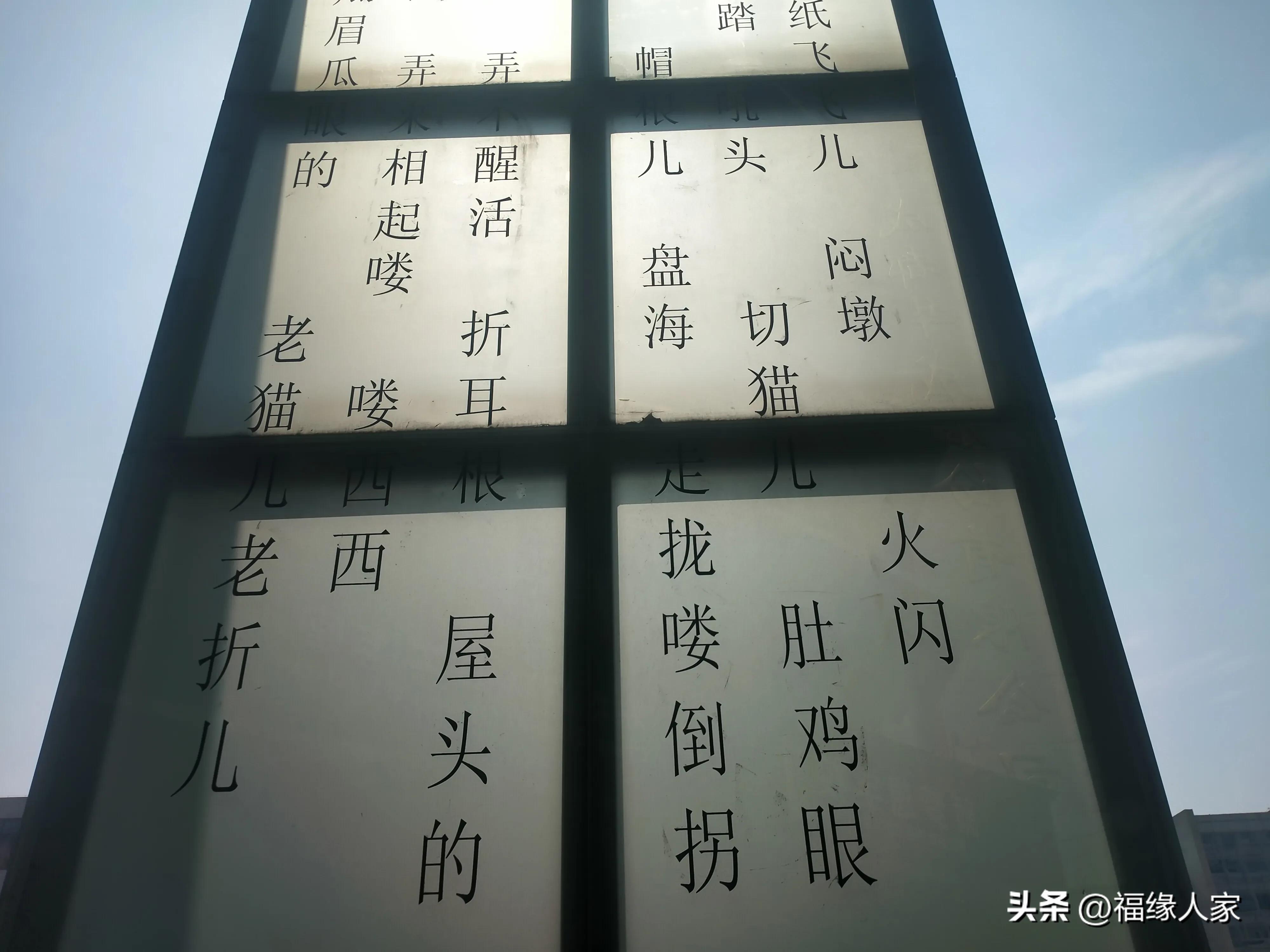 天不怕地不怕就怕蔡少芬讲普通话,什么都不怕就怕四川人说四川话