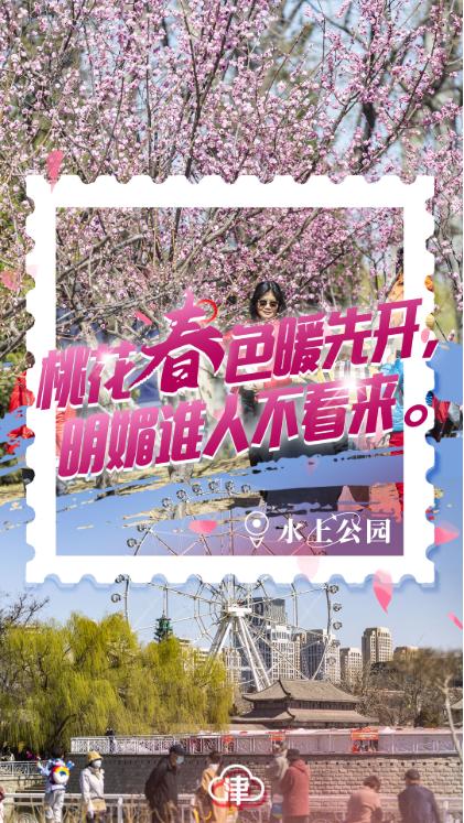 四月的天津,四月初的天津