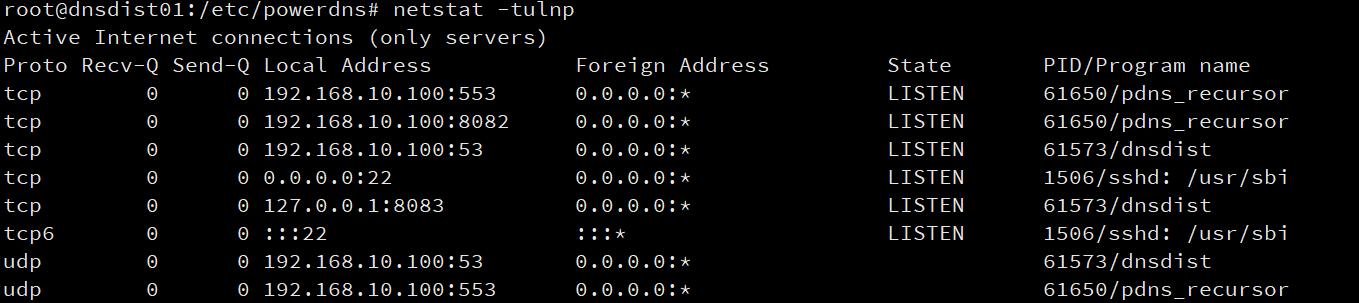 dns初学者教程免费,dns项目详细讲解
