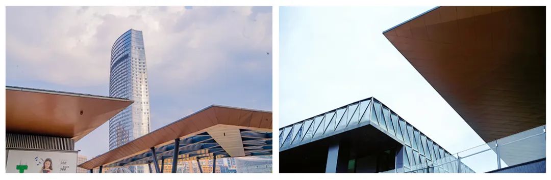 鸽王争霸,鸽王争霸赛开幕