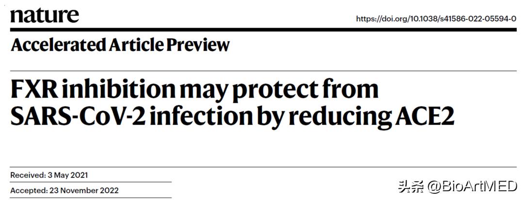 靶向FXR信号的SARS-CoV-2预防新策略​
