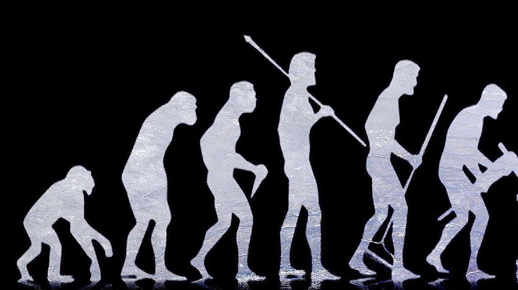 人类的祖先真的是亚当和夏娃吗,人类进化论的化石证据