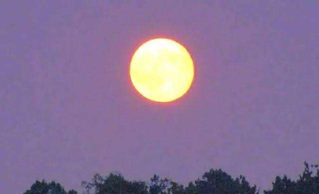 中秋共赏圆月的诗句,古今中外中秋咏月的古诗词有哪些