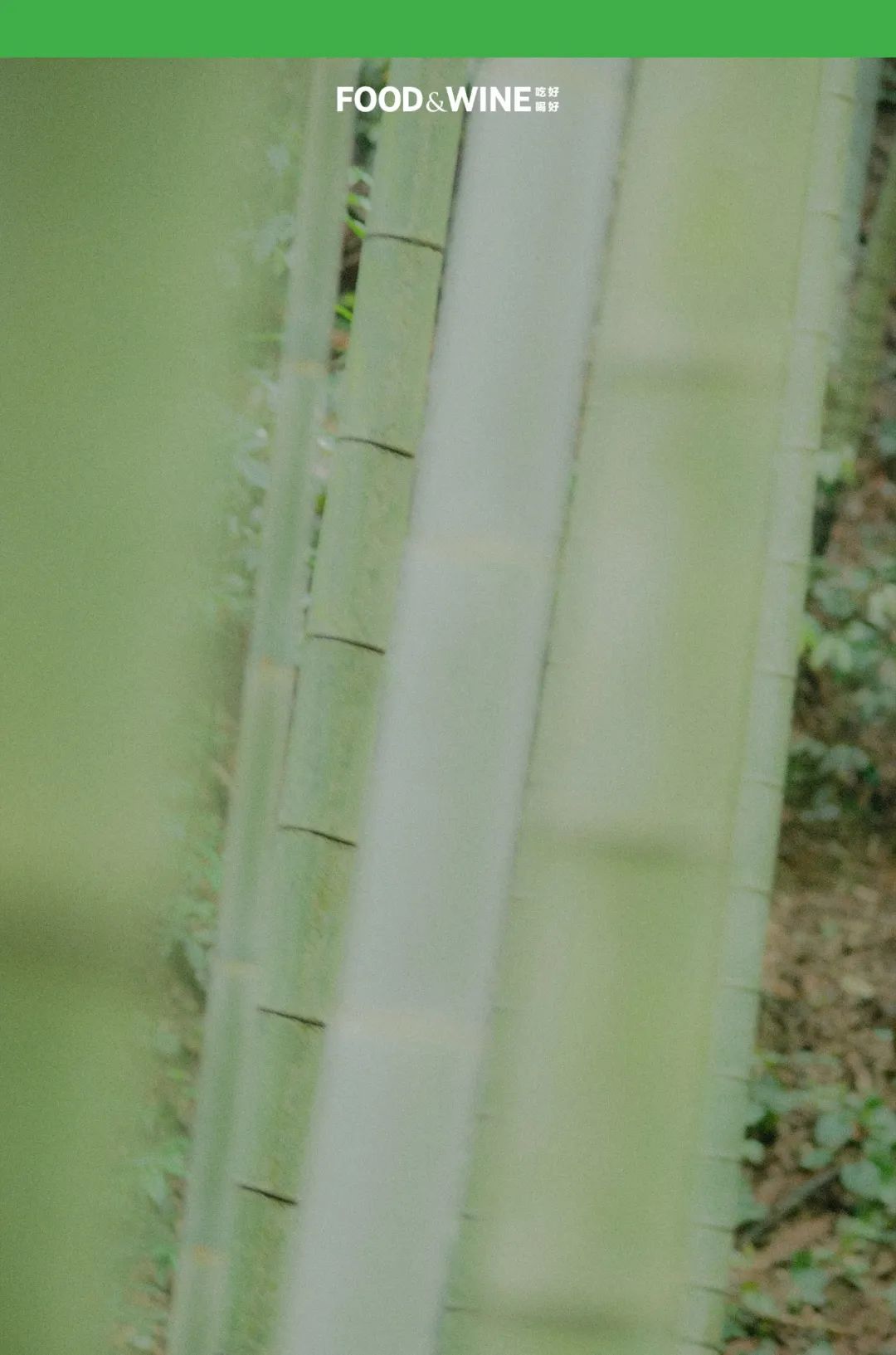 鏅痉闀囧搴欏悆鏂嬮キ,涓囧绂呭鏂嬮キ