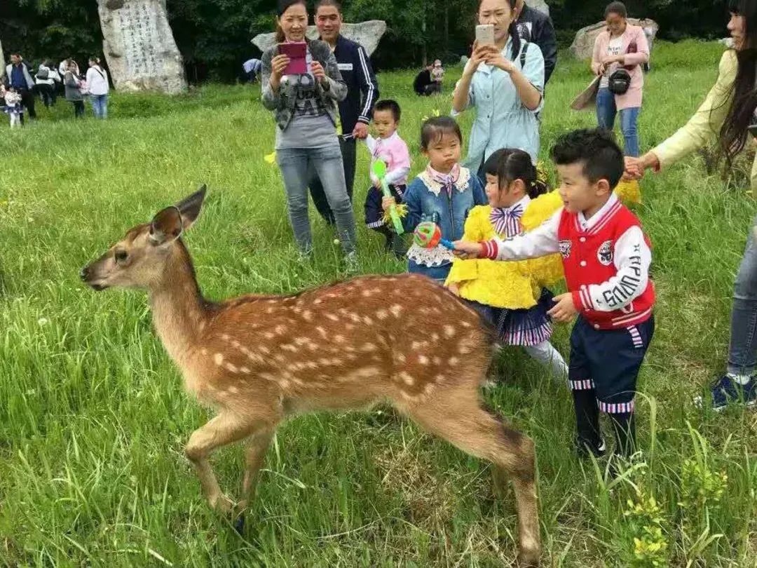 抚松景点一日游攻略,抚松冬季旅游推荐