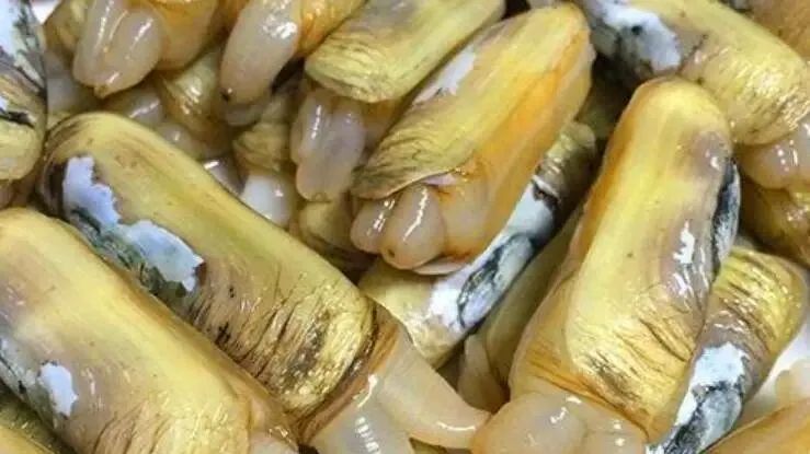 第五届农产品地理标志品牌,浙江知名农产品品牌