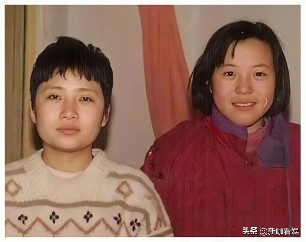 歌手李娜出家后还俗了吗,歌手李娜当年为什么出家