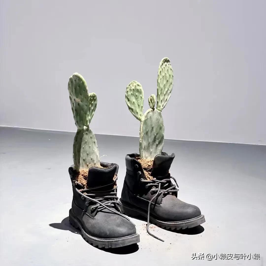 12万美元一根的香蕉你见过么,12万美元的香蕉是什么