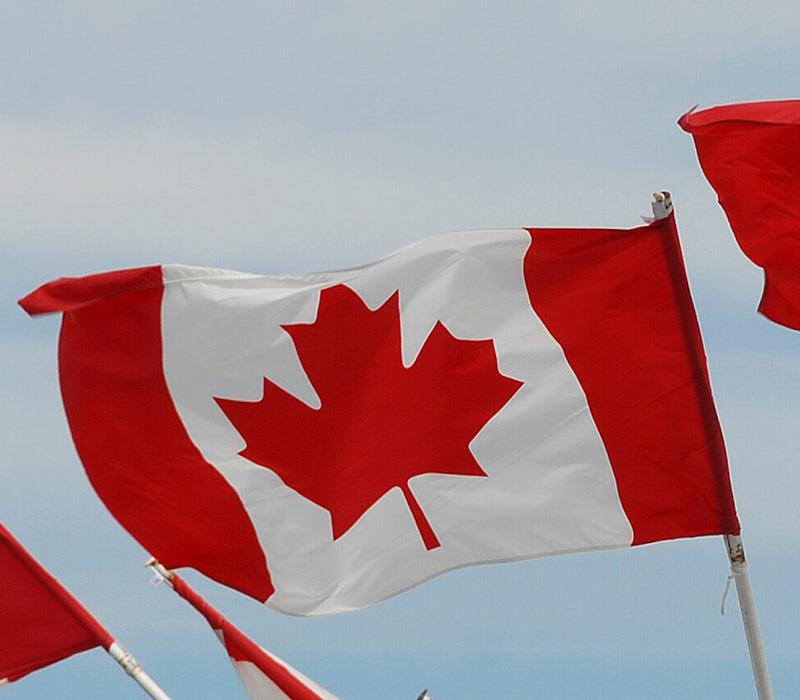 移民加拿大什么条件，详细介绍在这里！