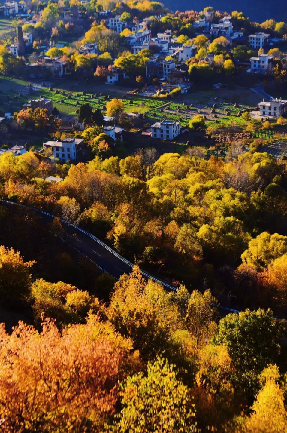成都去西藏3天往返,成都去西藏不重复路线