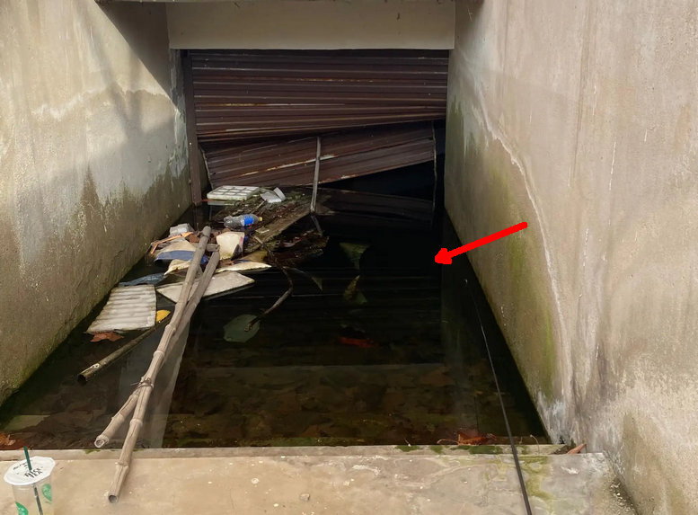 废弃停车场变鱼塘,深圳车库积水变鱼塘