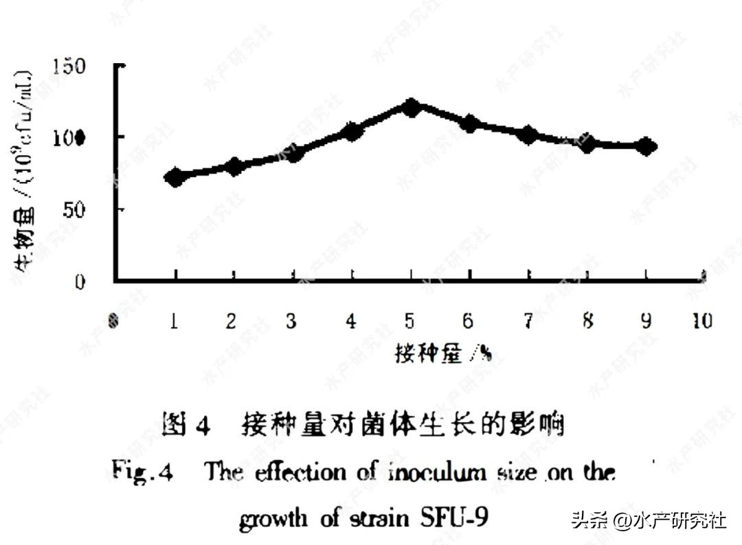 发酵芽孢杆菌需要多少温度,芽孢杆菌最佳发酵是开口还是封口