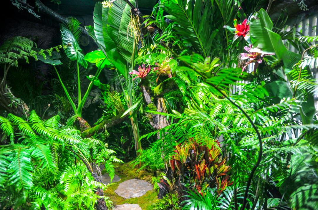 济南周边露营一日游的绝佳去处,绝美星空露营