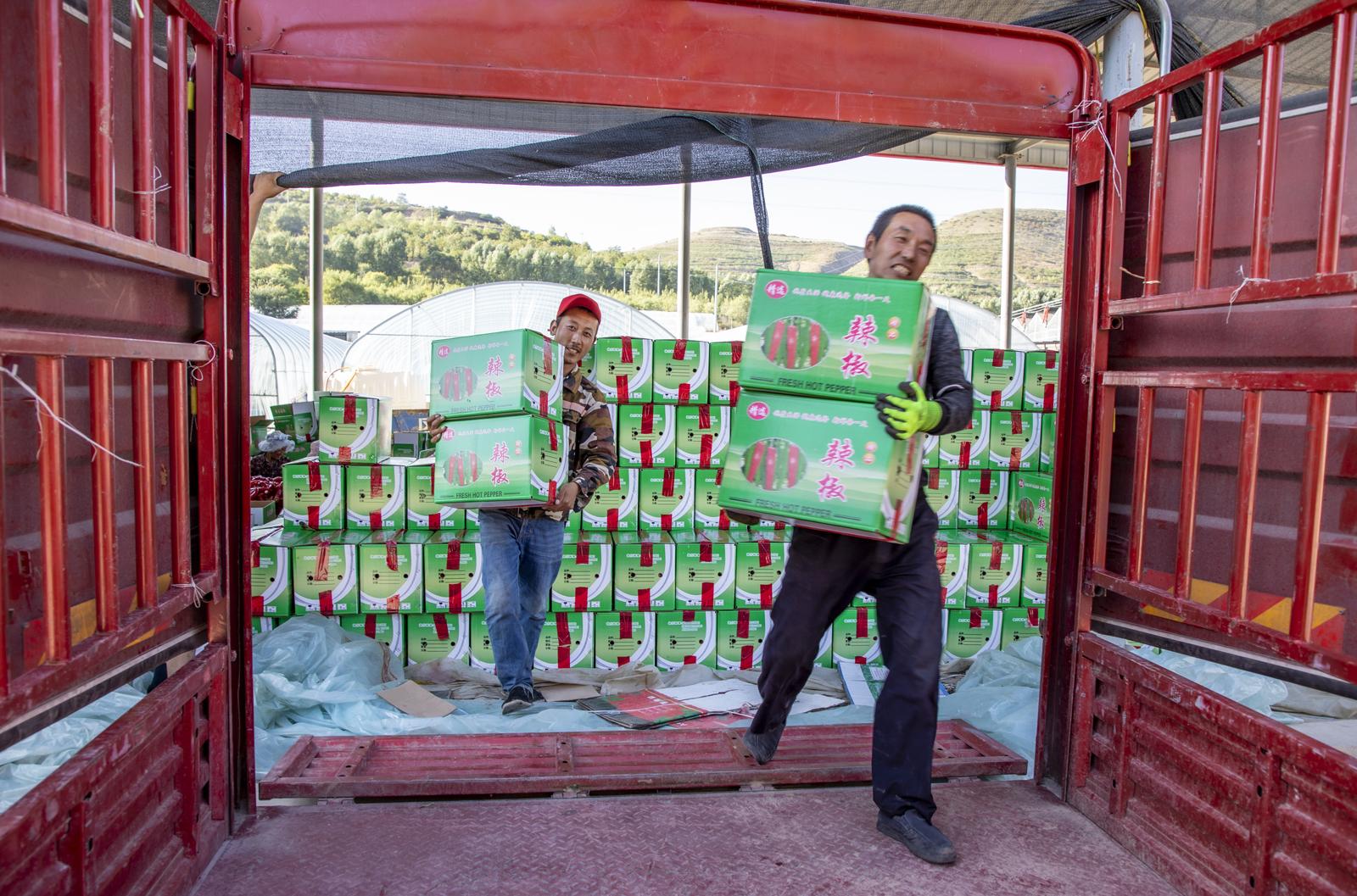 隆德农业产业园,隆德县创业扶持