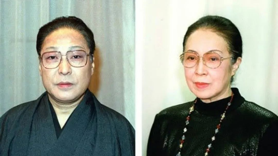 香川照之年轻颜值,香川照之演技评价