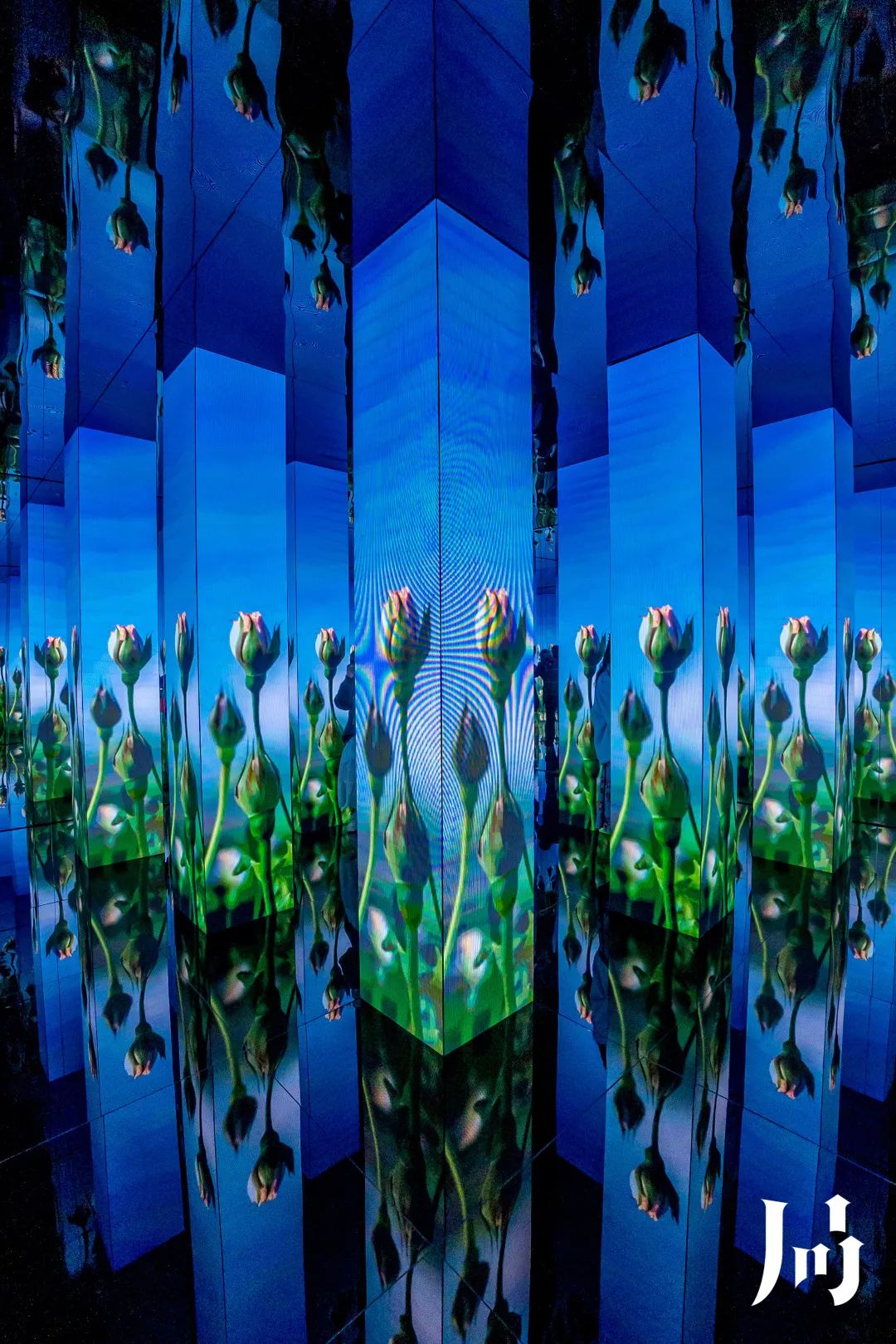 半个娱乐圈都来打卡的地方,半个娱乐圈都在打卡环球影城