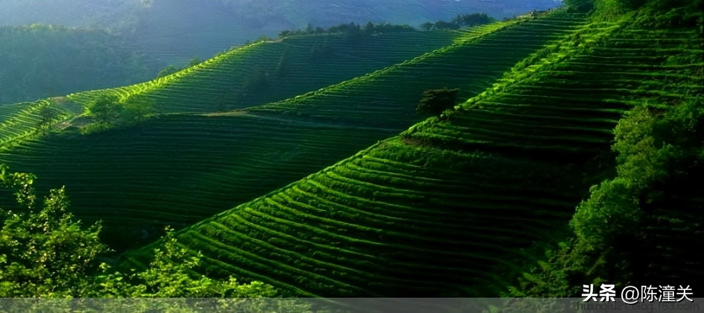 韩国人口与面积多大,韩国人均gdp相当于中国哪里