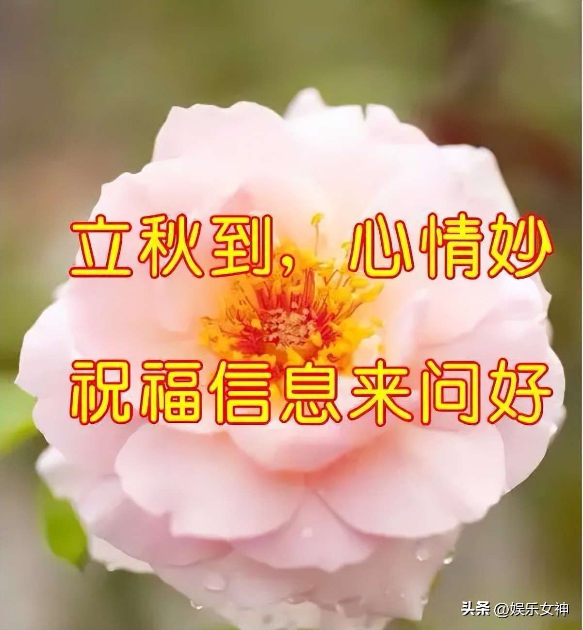 立秋早上好表情大全,最新立秋表情包可爱图片