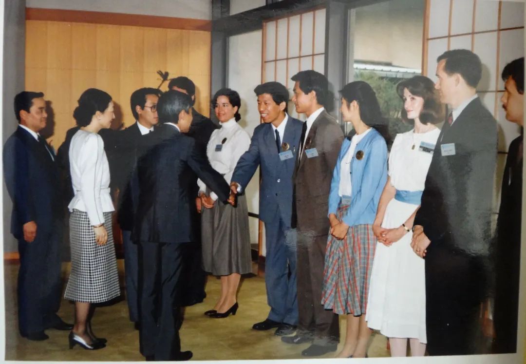 数学家杨乐成就,数学家杨乐在数学界中地位