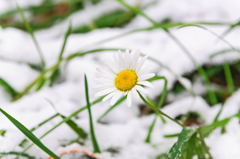 白带正常月经总是淋漓不尽,白带多怕冷月经推迟