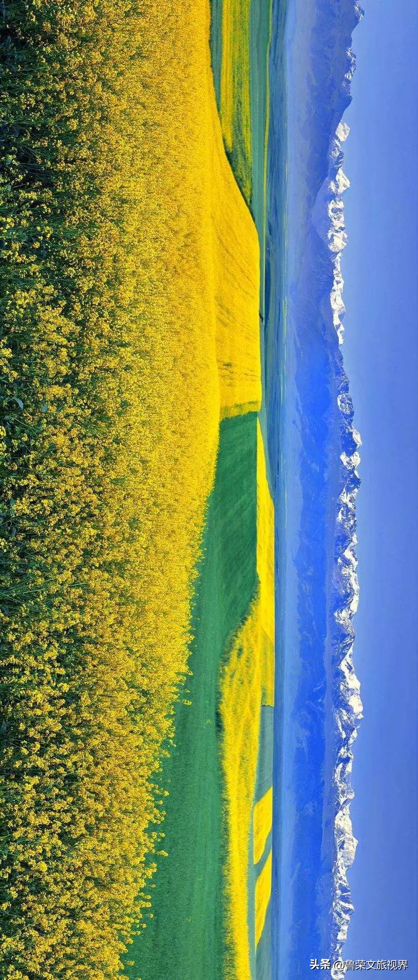 大美新疆的风景有哪些,大美新疆北疆美