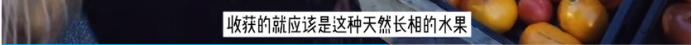 95后女孩过“穷酸”生活，不用卫生巾、一条裤子穿10年，好快乐