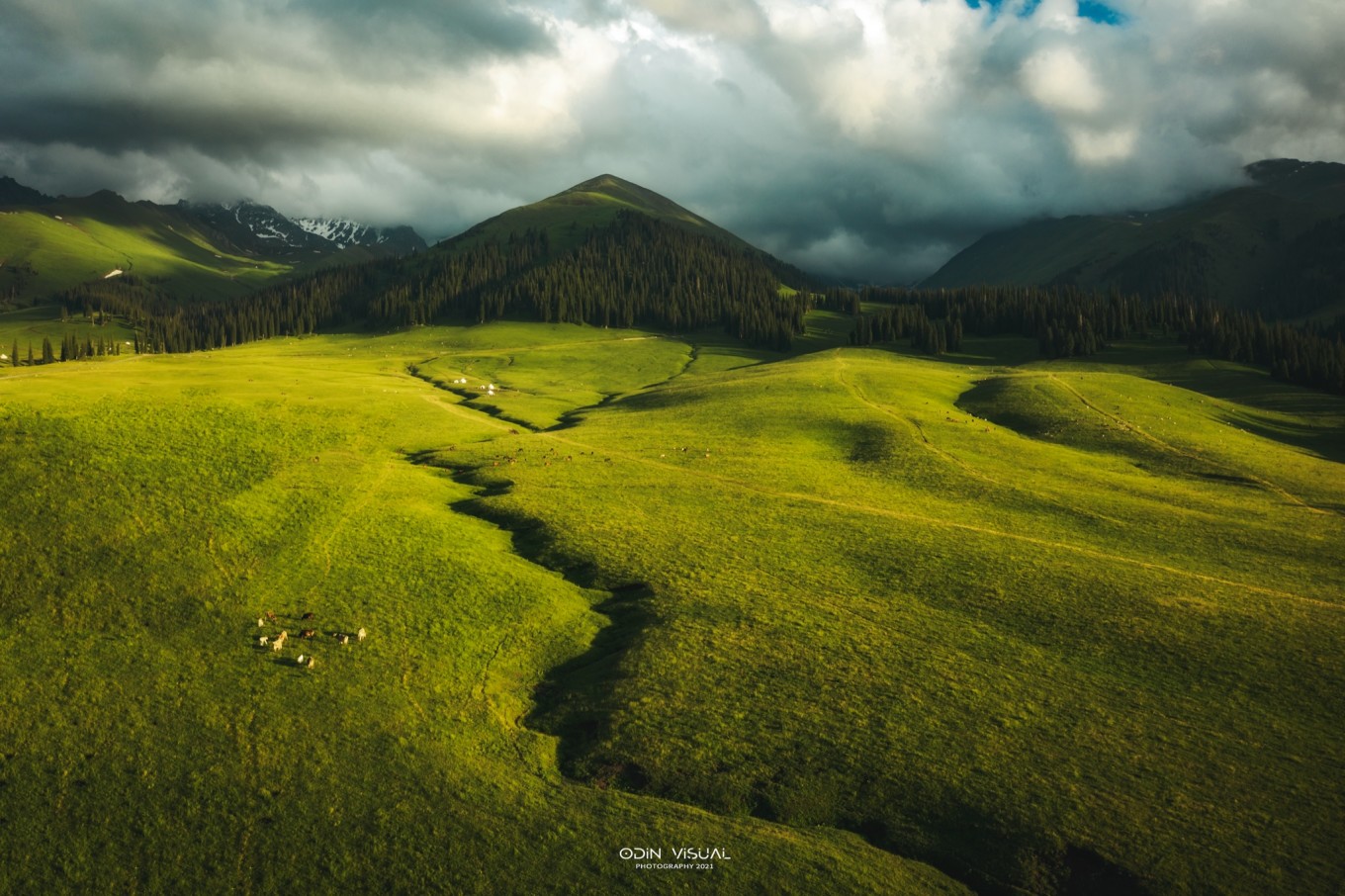 去新疆发现伊犁的美,世界之美尽在伊犁