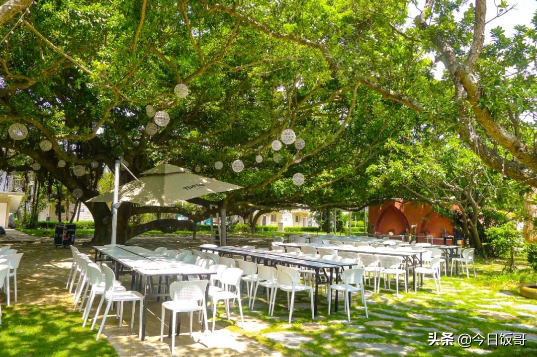 深圳海边五一亲子游赶海推荐,清明海边深圳攻略