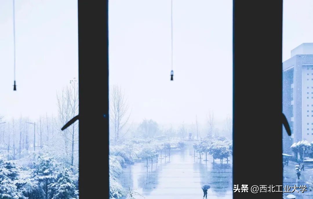 今日雨水!工大四季高清美图，欢迎欣赏使用~