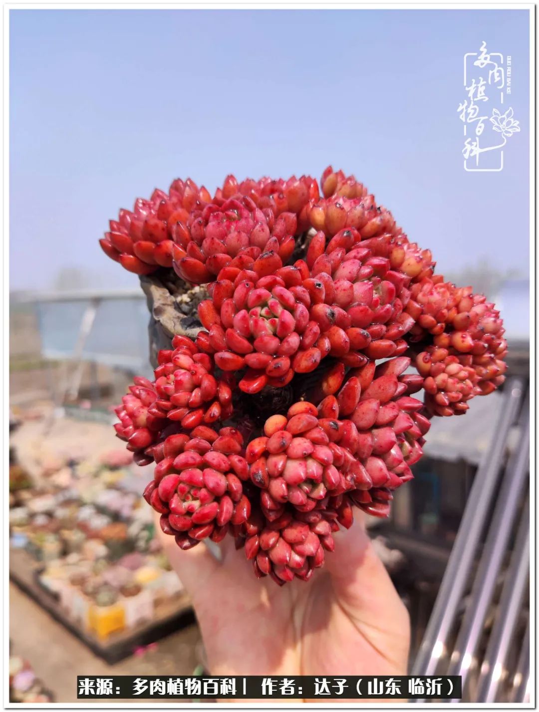 活在当下珍惜眼前平凡的生活,活在当下感慨万千