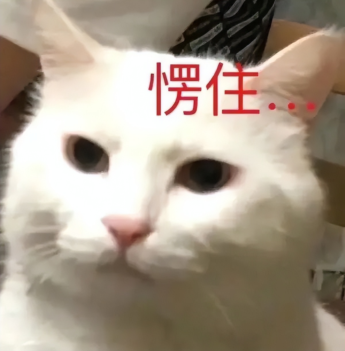 征兵体检待复查是什么意思,征兵体检结果出来了怎么通知