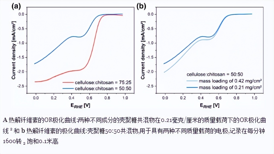 壳聚糖复合物的功效,壳聚糖复合物功效