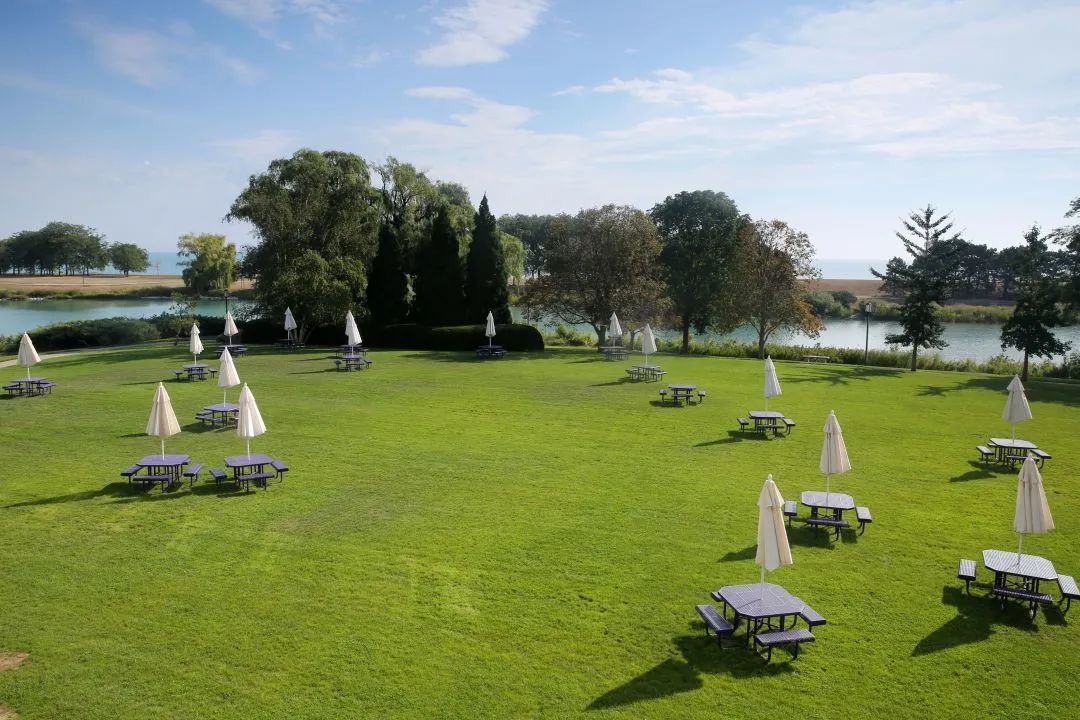 周周说名校｜低调的西北大学，低录取率，却多学院排名全美第一