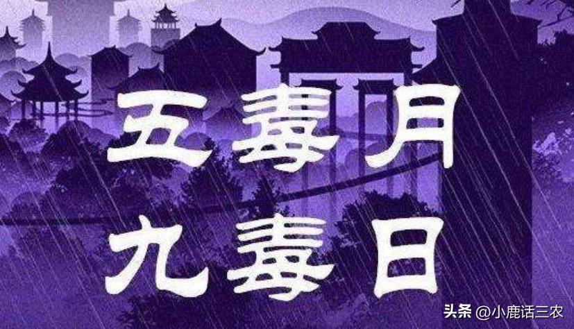 五月十七是不是好日子,五月十七是好日子吗