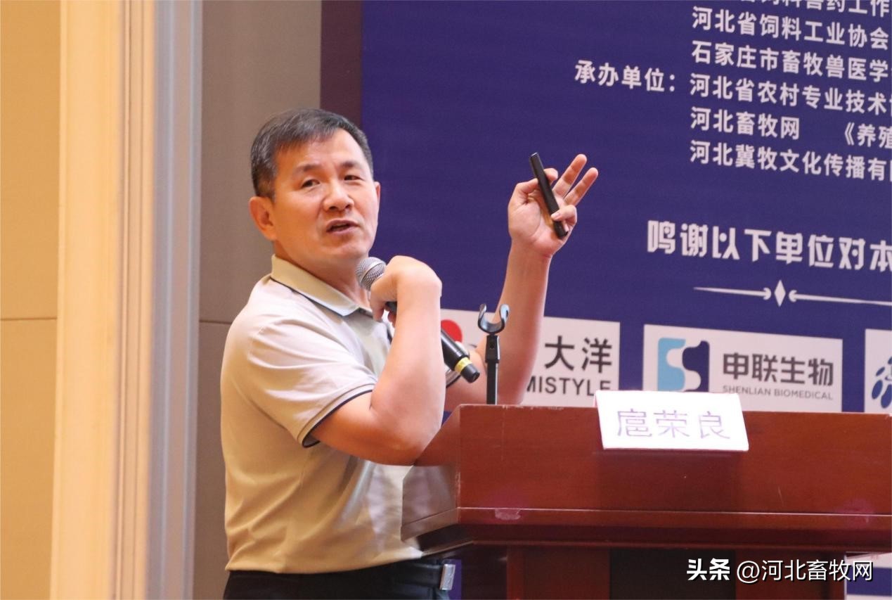 养猪技术交流讲座,养猪技术大会