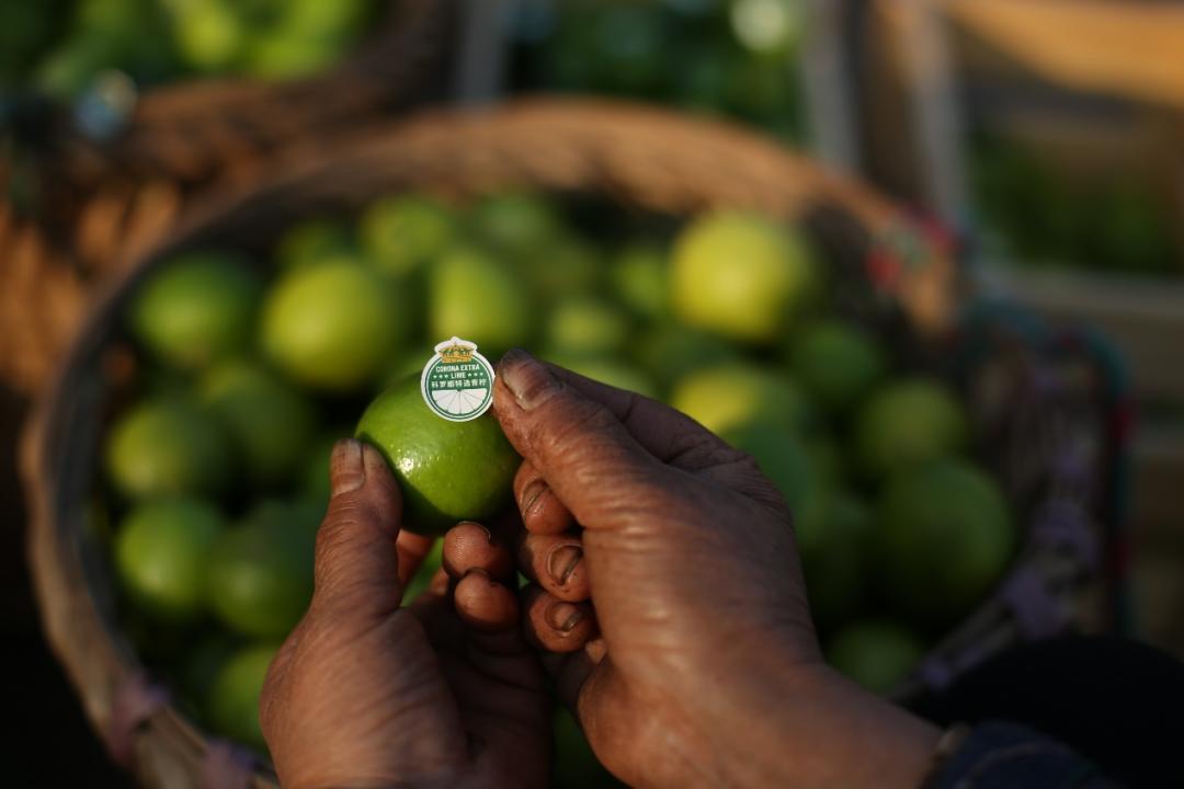 从一颗获奖的“青柠”，看百年百威如何穿越品牌周期