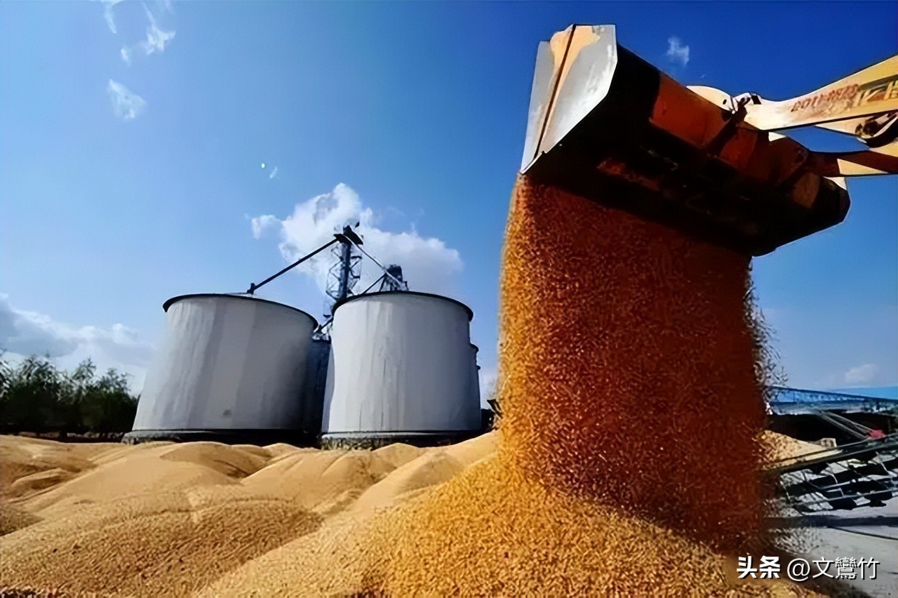 东北小伙海参崴,东北小伙去海参崴创业