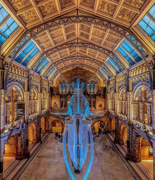 关于伦敦的句子,关于伦敦英文歌