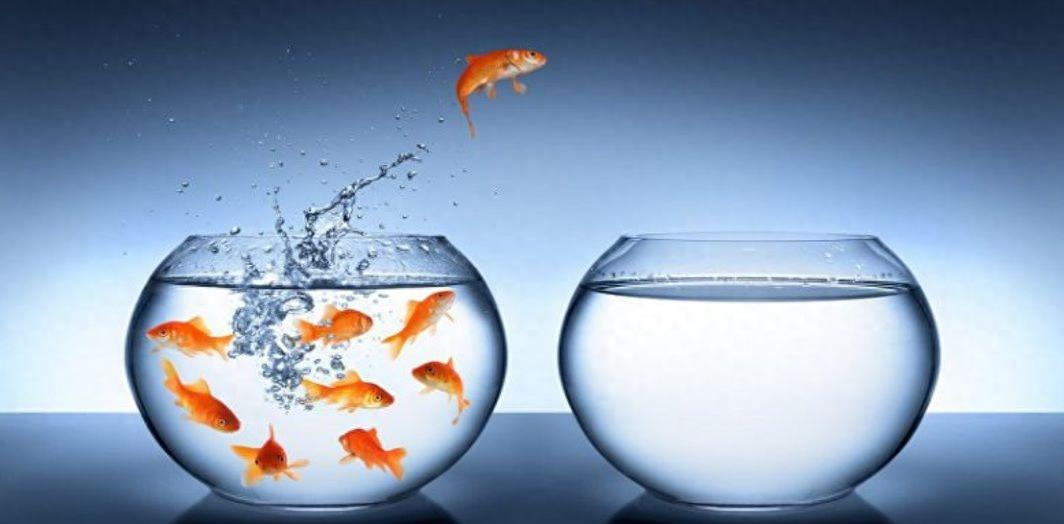 抑郁焦虑症的物理疗法,认知焦虑抑郁症的自我疗法