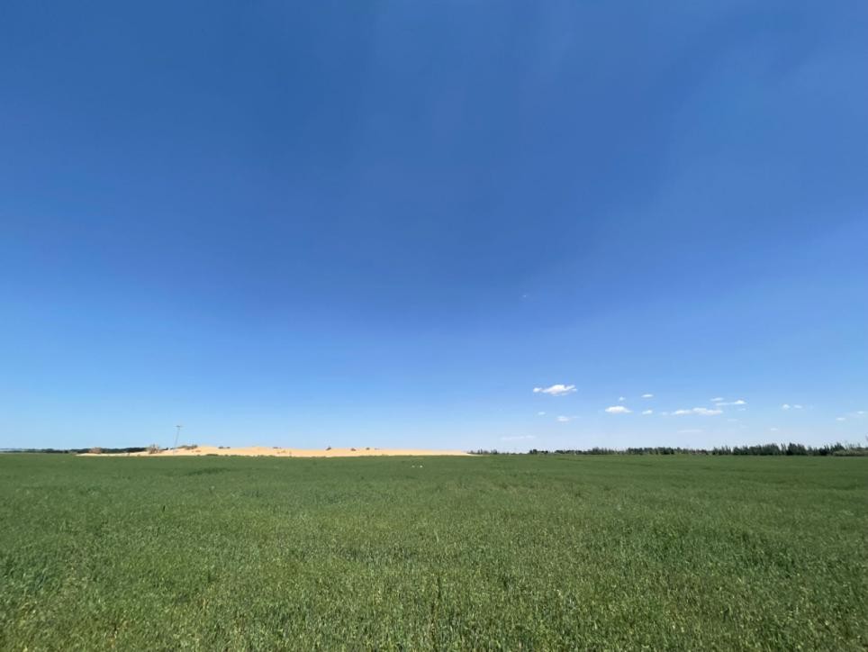 高端品质沙漠有机奶,沙漠有机奶产自哪里