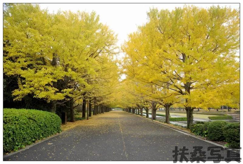 【话说日本景点的“门票价格”】