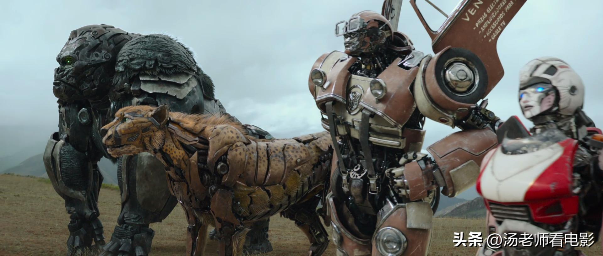 鍙樺舰閲戝垰瓒呰兘鍕囧＋宕涜捣鏄画闆嗗悧,鍙樺舰閲戝垰7瓒呰兘鍕囧＋宕涜捣缁泦